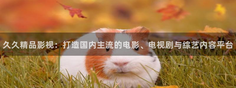 奇米在线观看：久久精品影视：打造国内主流的电影、电视剧与综艺内容平台
