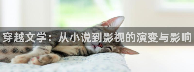 亚洲奇米在线观看：穿越文学：从小说到影视的演变与影响