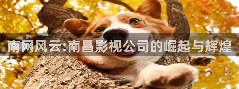 奇米在线三级观看：南网风云:南昌影视公司的崛起与辉煌