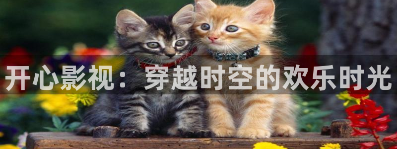 奇米在线视频444：开心影视：穿越时空的欢乐时光
