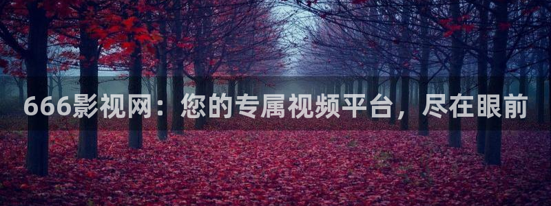 奇米在线视频444：666影视网：您的专属视频平台，尽在眼前
