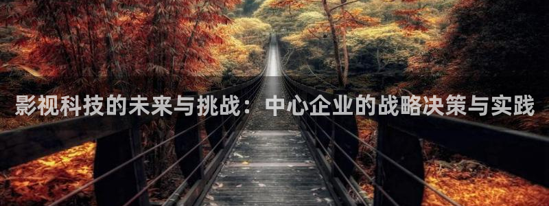 奇米在线99：影视科技的未来与挑战：中心企业的战略决策与实践