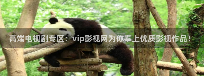 奇米在线视频免费播放：高端电视剧专区：vip影视网为你奉上优质影视作品！