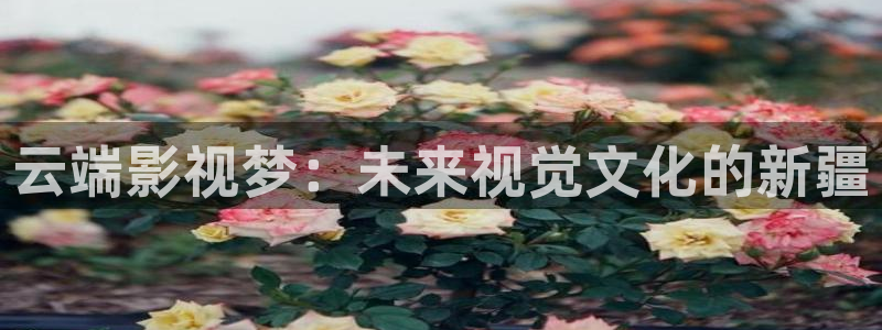 奇米在线视频二区：云端影视梦：未来视觉文化的新疆